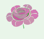 Sue Thomas Therapies